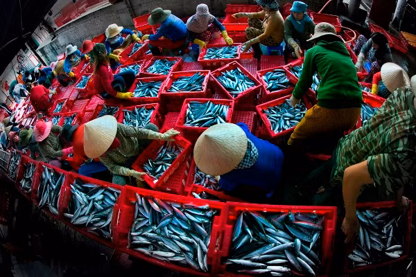 Đất và người trên quê hương Hải đội Hoàng Sa ảnh 3