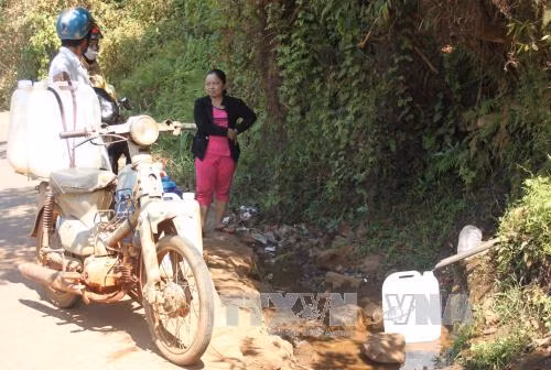 Bình Phước tích cực chuyển đổi cây trồng trên đồng hạn ảnh 1