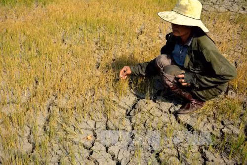 Miền Bắc mưa phùn, miền Nam nắng nóng ảnh 1