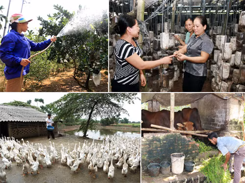 Nơi gửi trọn niềm tin ảnh 2