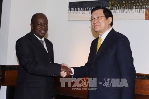 Chủ tịch nước hội kiến Chủ tịch Quốc hội Tanzania ảnh 1