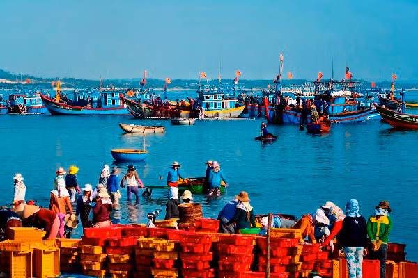 Đất và người trên quê hương Hải đội Hoàng Sa ảnh 2