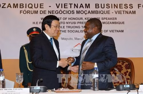 Thông cáo chung về chuyến thăm Mozambique của Chủ tịch nước ảnh 1