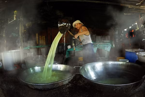 Đất và người trên quê hương Hải đội Hoàng Sa ảnh 6