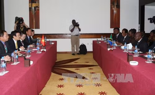 Chủ tịch nước hội kiến Chủ tịch Quốc hội Tanzania ảnh 2