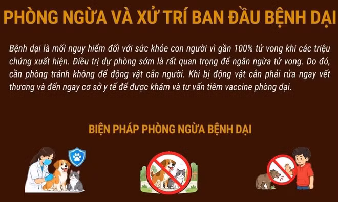 Phòng ngừa và xử trí ban đầu bệnh dại