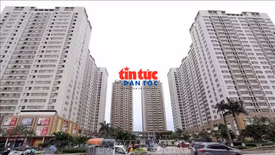 Giải mã cùng luật sư: Tăng mức phạt chung cư cho thuê làm văn phòng
