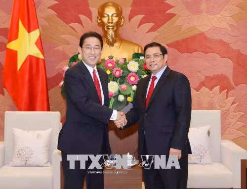Đồng chí Phạm Minh Chính tiếp Trưởng Ban nghiên cứu chính sách Đảng Dân chủ Tự do Nhật Bản ảnh 1