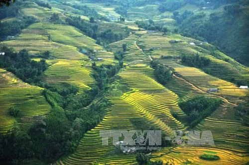 Thị xã Sa Pa sẽ thành lập trên cơ sở giữ nguyên trạng địa giới huyện Sa Pa hiện nay ảnh 1