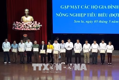  Sơn La biểu dương 600 hộ gia đình sản xuất nông nghiệp tiêu biểu ảnh 2