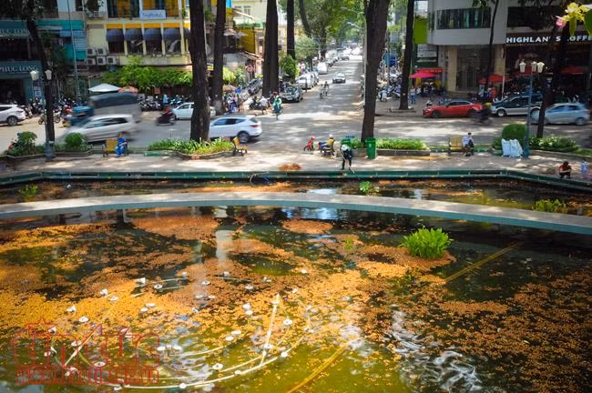 TP Hồ Chí Minh đẹp ngỡ ngàng mùa trái dầu bay ảnh 14