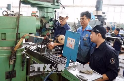 Hiểu thị trường lao động để tăng năng suất ảnh 1