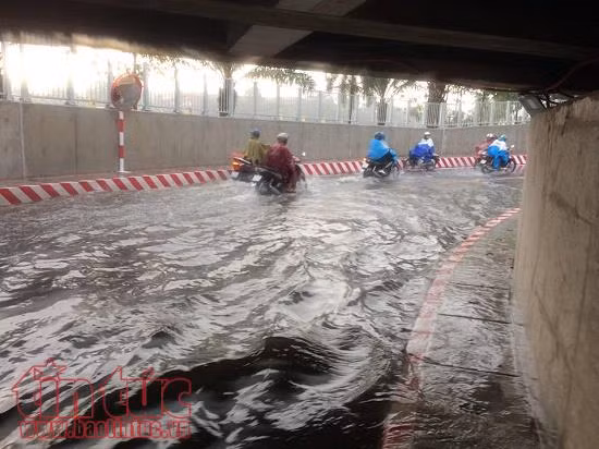 TP Hồ Chí Minh ngập hầm chui sau cơn mưa lớn trong đêm 2/5 ảnh 1