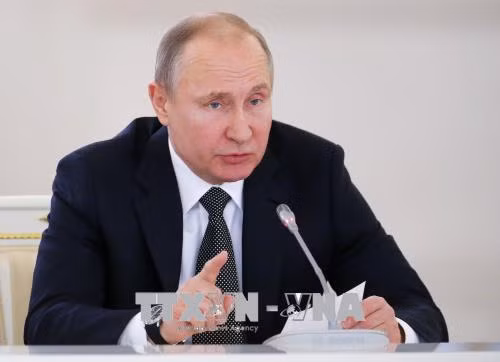 Tổng thống Nga Putin nói gì về vụ Syria bị không kích? ảnh 1