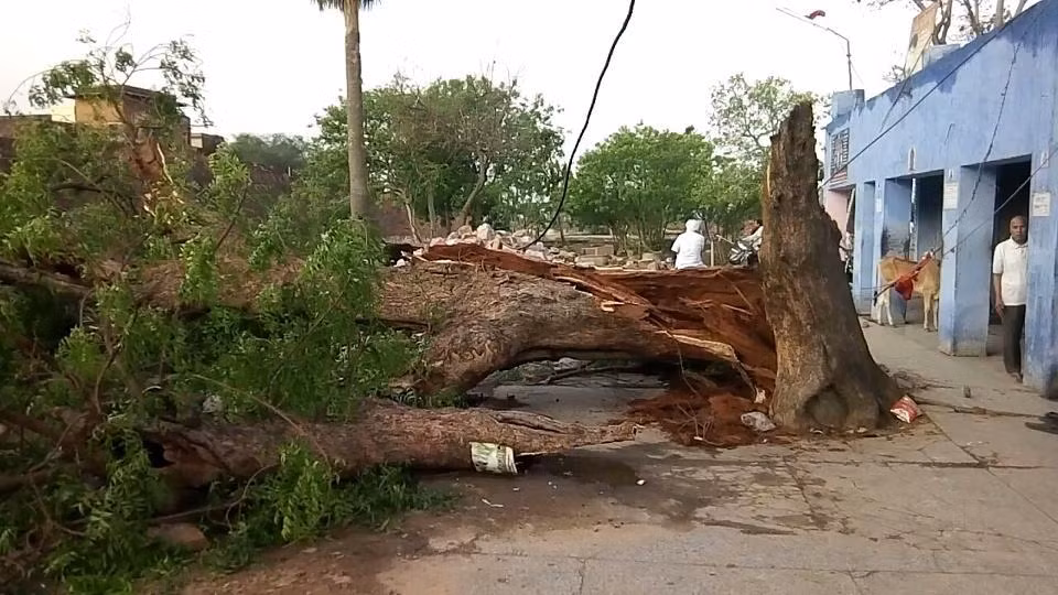 Bão cát kinh hoàng 'nuốt chửng' Tây Bắc Ấn Độ, hơn 80 người thiệt mạng ảnh 3