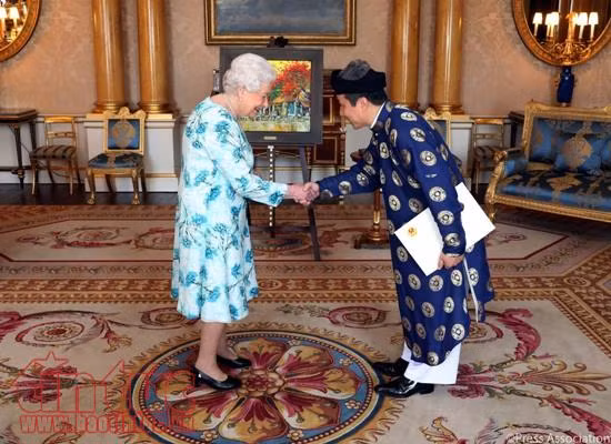 Đại sứ Việt Nam tại Anh trình quốc thư lên Nữ hoàng Elizabeth II ảnh 2