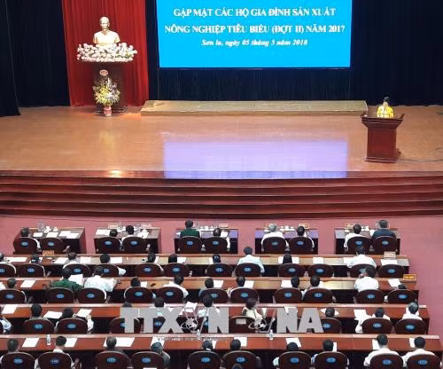  Sơn La biểu dương 600 hộ gia đình sản xuất nông nghiệp tiêu biểu ảnh 1