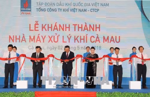 Chủ tịch Quốc hội dự Lễ khánh thành Nhà máy xử lý khí Cà Mau ảnh 2