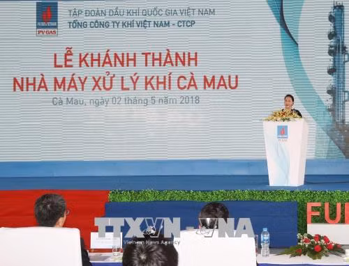 Chủ tịch Quốc hội dự Lễ khánh thành Nhà máy xử lý khí Cà Mau ảnh 1