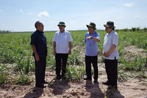 Agribank góp phần phát triển kinh tế khu vực Tây Nguyên ảnh 1