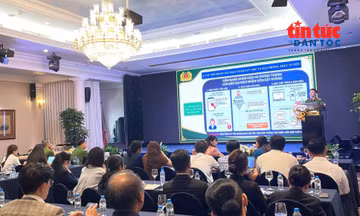 TP Hồ Chí Minh tăng phòng ngừa tội phạm tại các cơ sở lưu trú