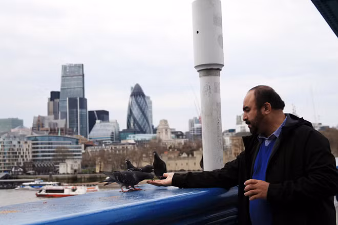 Chiều yên bình bên sông Thames ảnh 6