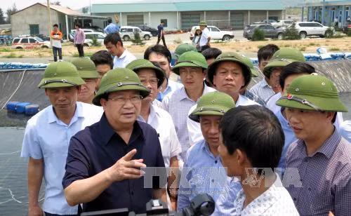 Sớm xác định nguyên nhân cá chết và hỗ trợ người dân ảnh 1
