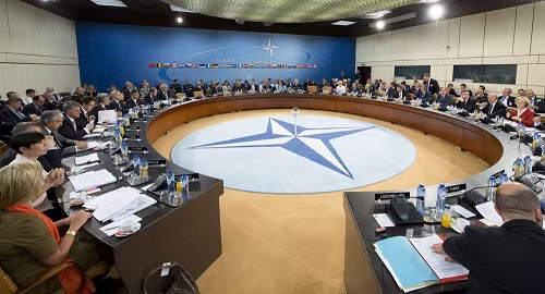 Ukraine lầm tưởng về tương lai gia nhập NATO ảnh 1