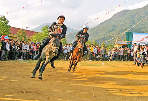Hội đua ngựa thồ vùng cao ảnh 1
