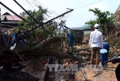 Mưa đá, lốc xoáy làm thiệt hại trên 2.000 nhà tại Điện Biên ảnh 1