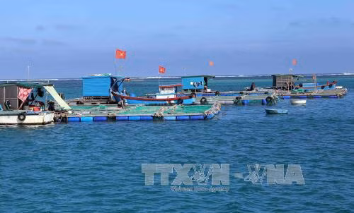 Lý Sơn giản dị mà đầy mê hoặc ảnh 11