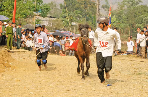 Hội đua ngựa thồ vùng cao ảnh 5