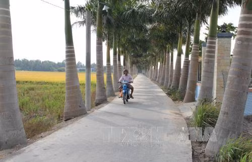 Chung sức xây dựng nông thôn mới: Dồn lực hoàn thành các tiêu chí ảnh 1