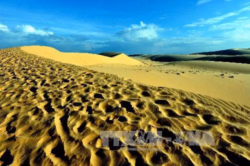 Chặn đứng nạn cát bay, cát nhảy ảnh 1