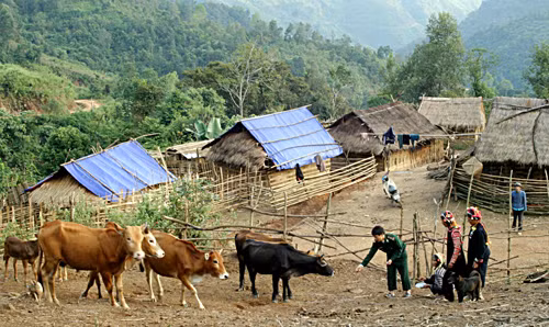 Giúp đồng bào thoát nghèo ảnh 1