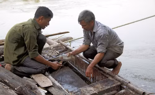 Giúp nông dân vươn lên làm giàu ảnh 2