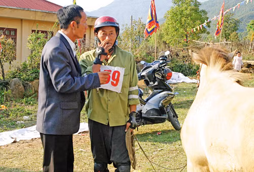 Hội đua ngựa thồ vùng cao ảnh 2