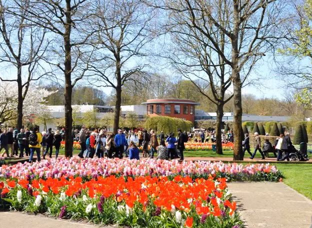 Keukenhof, lễ hội hoa tulip được yêu thích nhất châu Âu ảnh 1