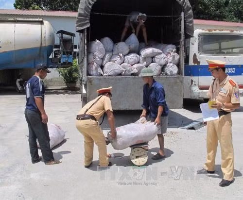 Bắt giữ 6 tấn tóp mỡ mốc xanh ở Thanh Hóa ảnh 1