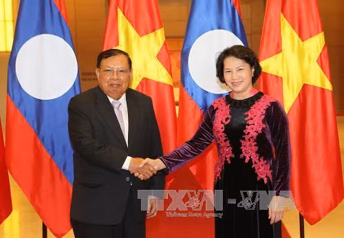 Thúc đẩy quan hệ hữu nghị hợp tác toàn diện Việt Nam-Lào ảnh 4