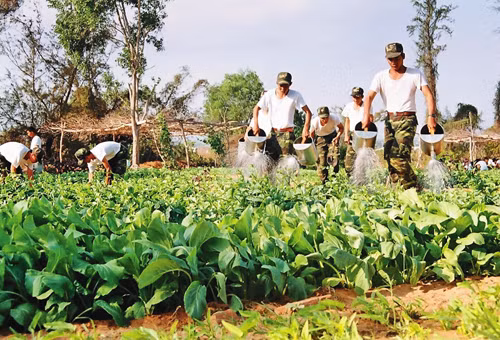 Một ngày của tân binh ảnh 6