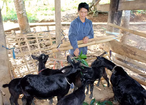 Mạnh dạn đầu tư làm giàu ảnh 1