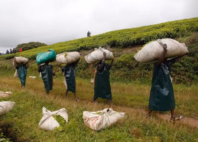 Cuộc sống thường nhật tại Burundi ảnh 3