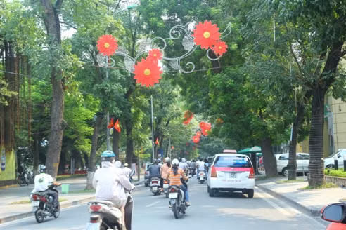 Triển khai quy hoạch cây xanh Hà Nội chưa hài hòa ảnh 1