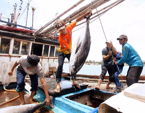 Nhà nước sẽ hỗ trợ kịp thời để ngư dân vươn khơi bám biển ảnh 1