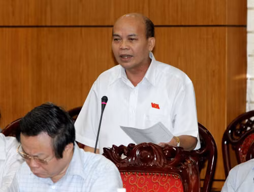 Chất vấn Bộ trưởng Tài nguyên và Môi trường ảnh 2