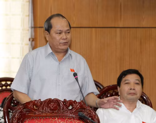 Chất vấn Bộ trưởng Tài nguyên và Môi trường ảnh 3