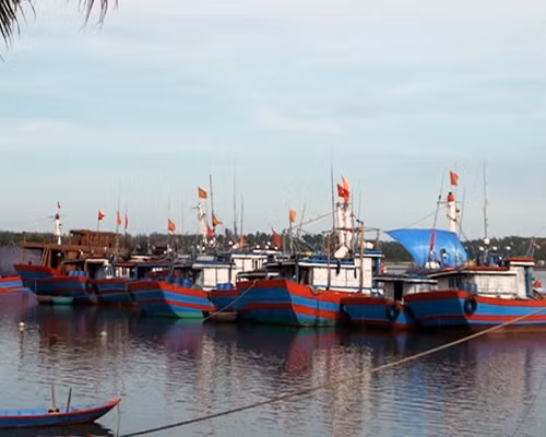Một ngư dân trẻ làm giàu từ biển ảnh 1