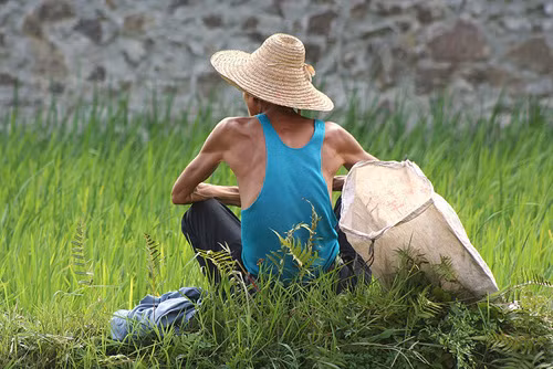 Trào lưu tự tử đáng báo động ở người già Trung Quốc ảnh 1