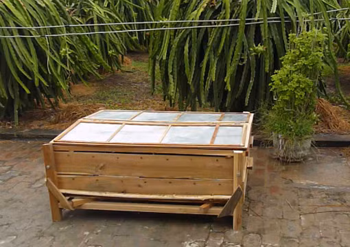 Giải pháp mới xử lý rác thải từ cây thanh long ảnh 1
